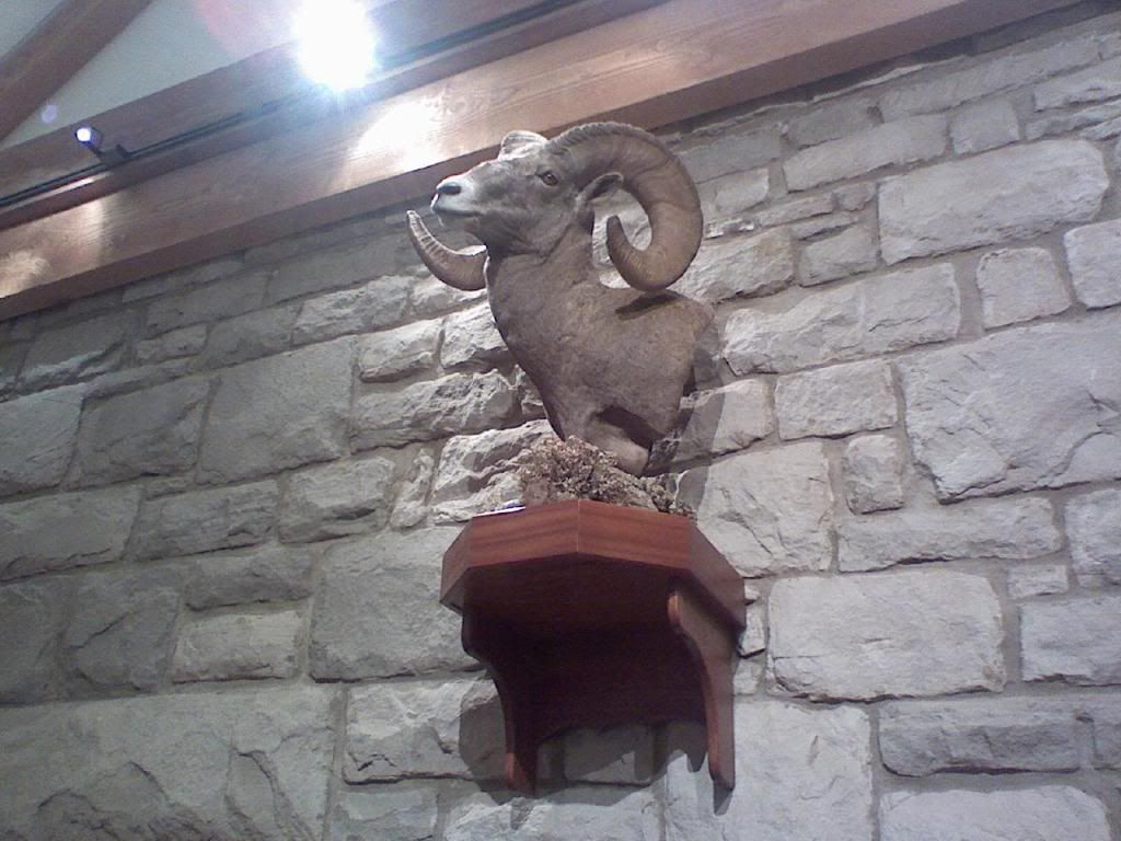 Official Wyoming Picture Thread (Cheyenne, Kaycee rent, bars, office